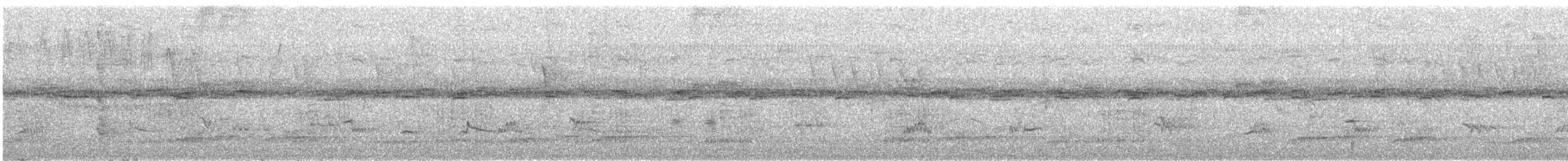 Slaty-breasted Wood-Rail - ML624859189