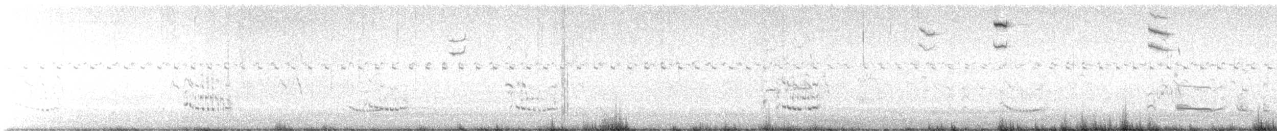 Nelson's/Saltmarsh Sparrow (Sharp-tailed Sparrow) - ML624863357