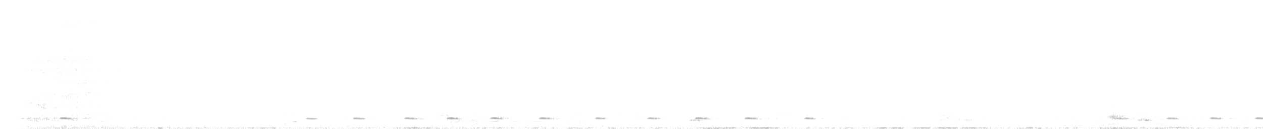 Unspotted Saw-whet Owl - ML624874908