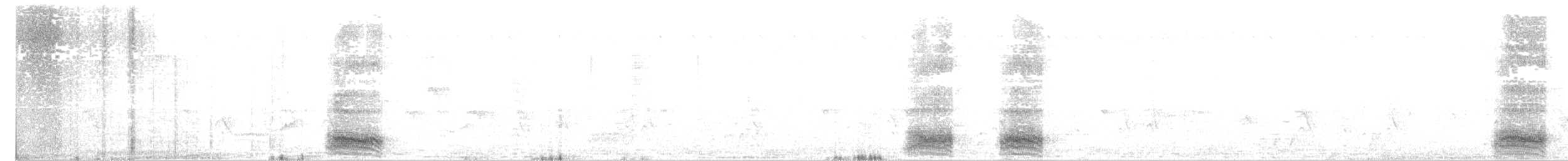 Большеклювая ворона - ML62487981