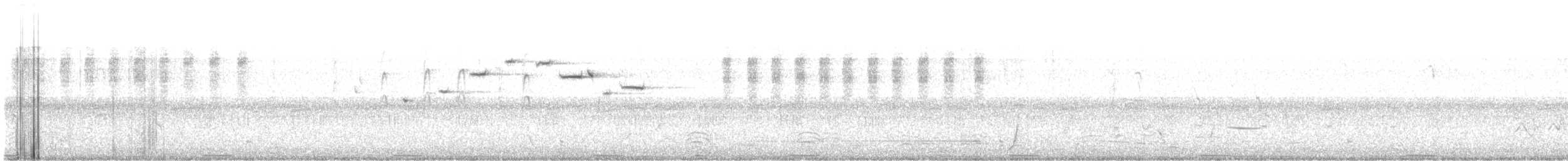 perepel australasijský - ML624884486
