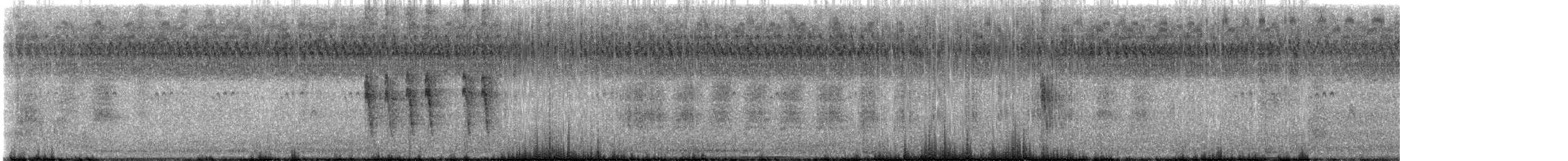 Northern Mockingbird - ML624887040