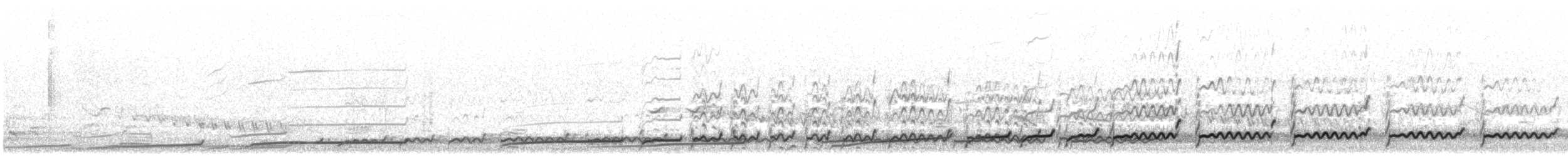 Eurasian Curlew - ML62488721