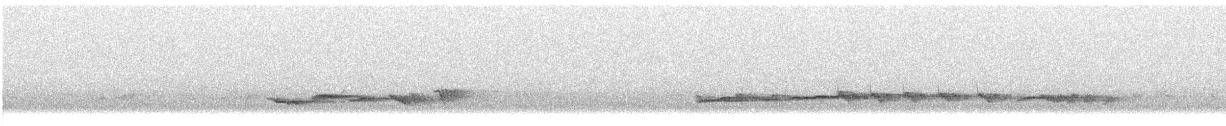 ヤドリギツグミ - ML62488801