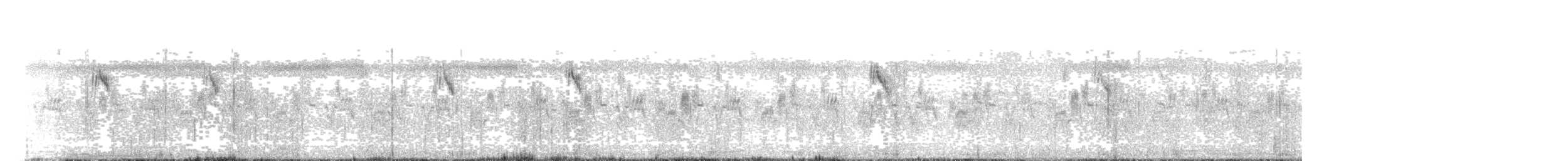 wagtail sp. - ML624888416