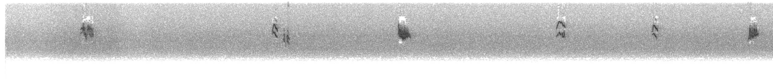 ムナフヒタキ - ML62488871