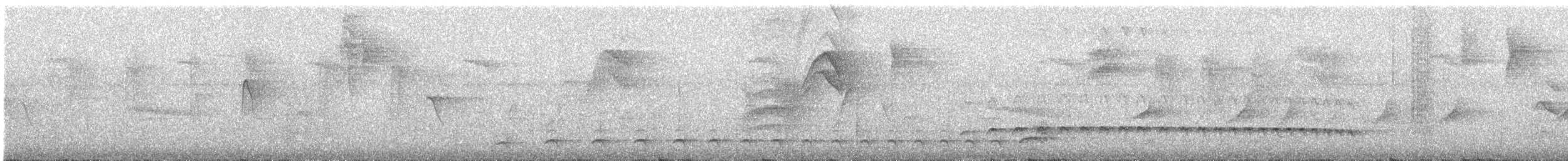 Batarito Coronipunteado - ML624890311