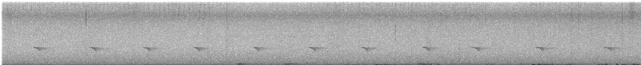 Guatemalan Tyrannulet - ML624897942