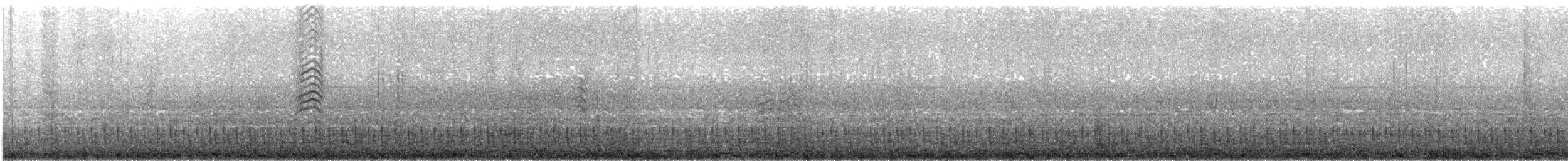 Flesh-footed Shearwater - ML624898027
