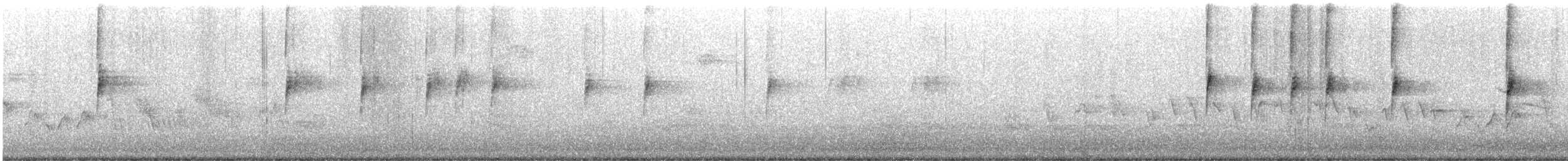 hvitkronespurv - ML624900539