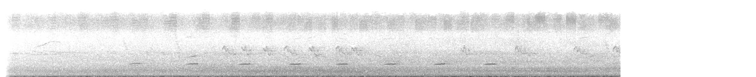 kappbatis (capensis) - ML624906173