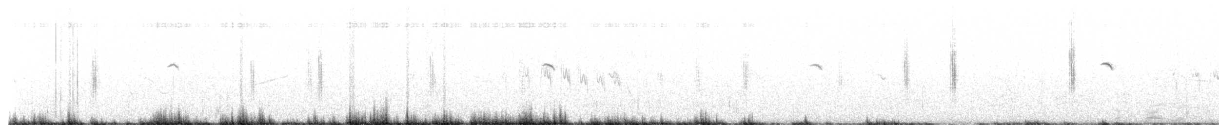 Tarabilla Africana (grupo torquatus) - ML624906267