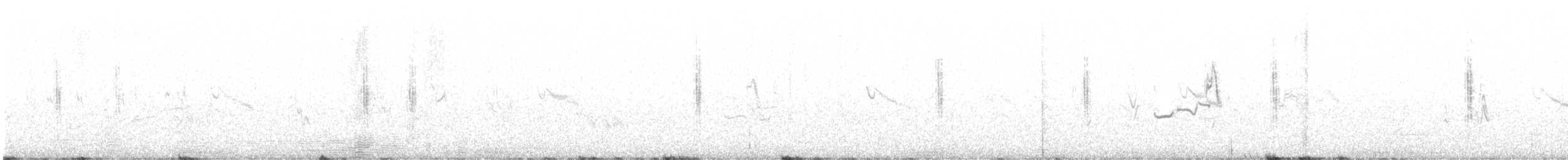 Tarabilla Africana (grupo torquatus) - ML624906268