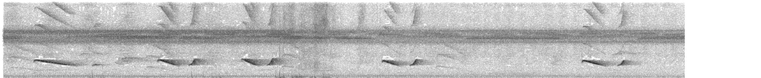Varzea Schiffornis - ML624910497