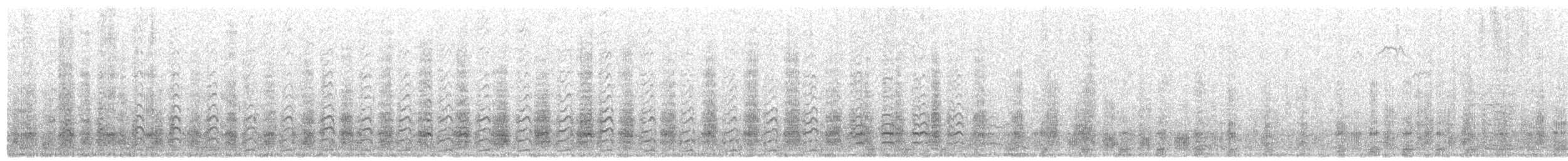 Antarctic Petrel - ML624916176