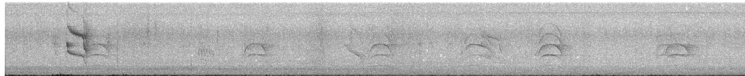 Social Flycatcher - ML624916894