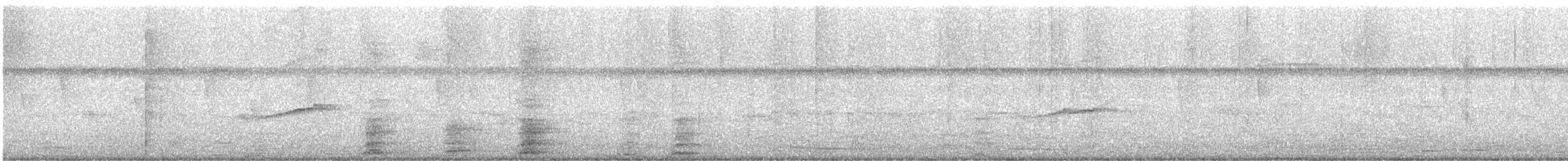 Hellbauch-Schnäppertyrann - ML624917295