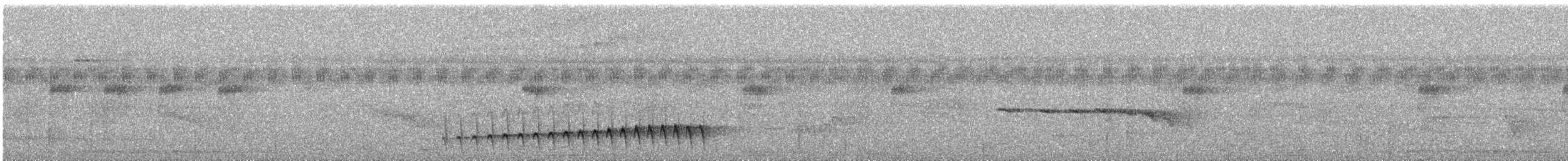 Bleigrau-Ameisenvogel - ML624919914