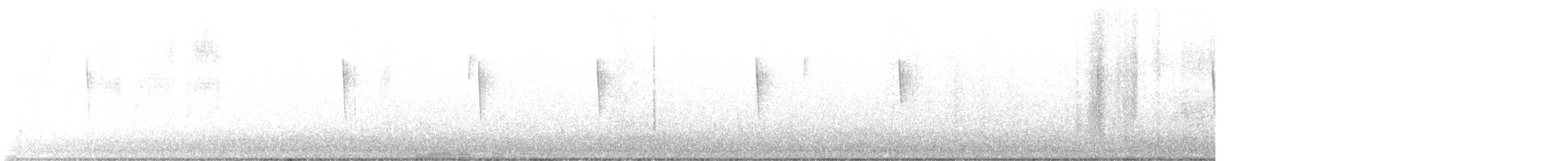 new world warbler sp. - ML624920524