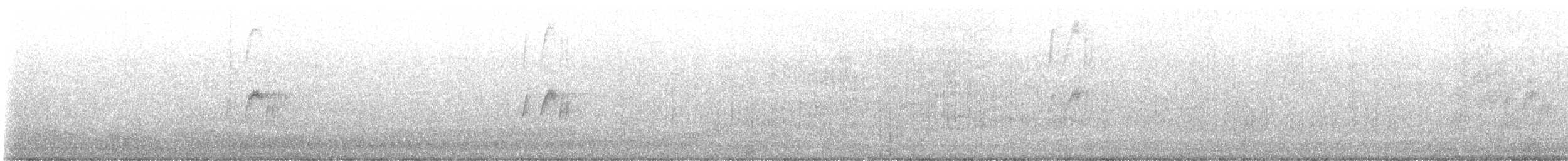 Gray Kingbird - ML624924518