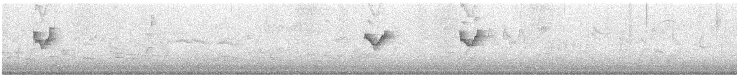 Yellow-browed Warbler - ML624933881