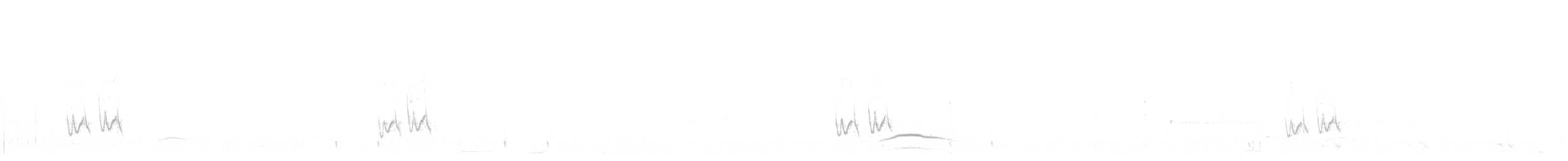 Crissal Thrasher - ML624935136