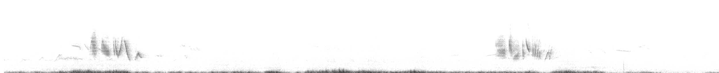 Traquet noir et blanc - ML624937207