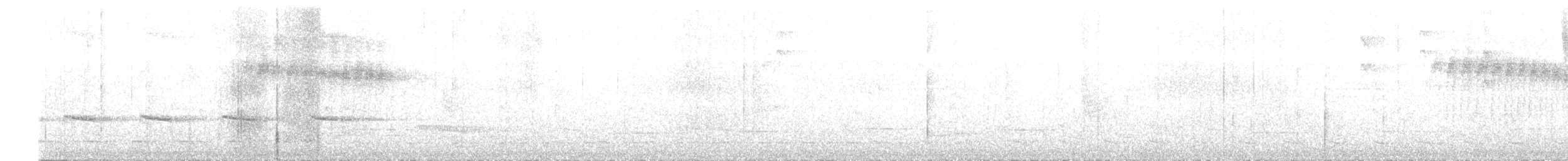 White-browed Woodpecker - ML624939918