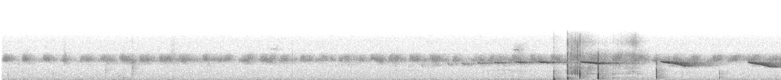 シロボシショウビン - ML624940717