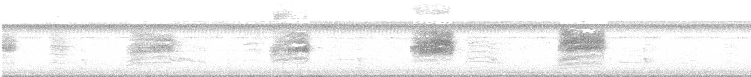 Warbling Vireo - ML624945393