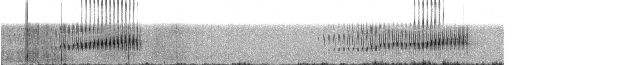 Streak-backed Canastero - ML624945709