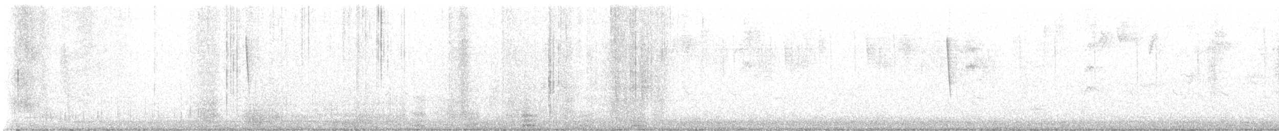 Selasphorus sp. - ML624946210
