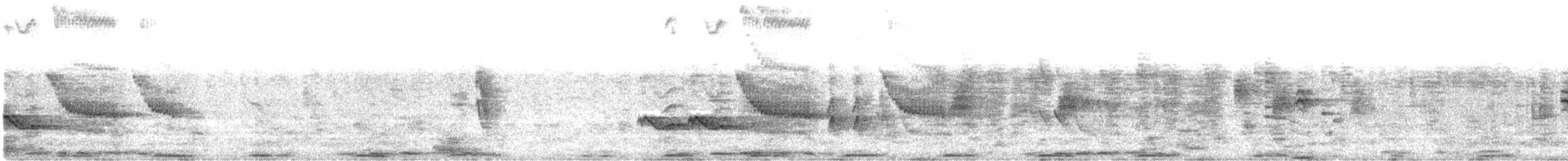 Kurriçeyn Ardıcı - ML624948630