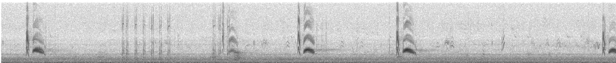 Cassin's Kingbird - ML624949660