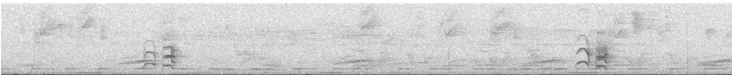 Western Fire-eye (Pacific) - ML624951372