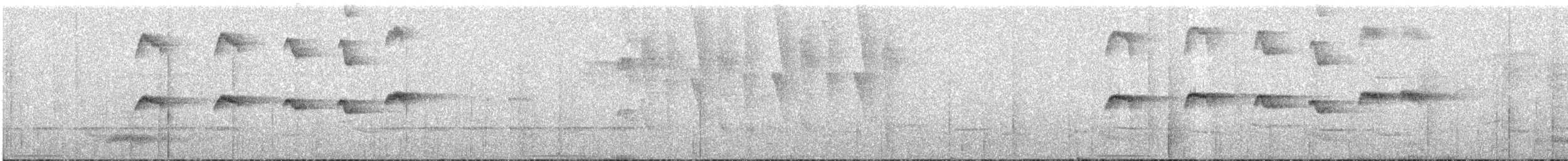 Esmeraldas Antbird - ML624951388