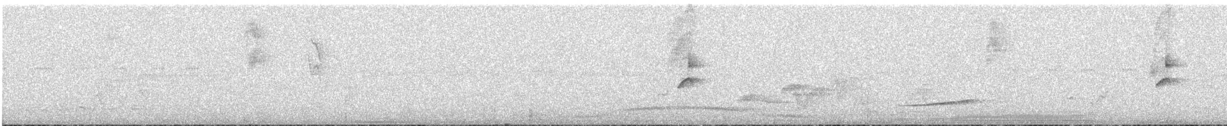 Mouse-gray Flycatcher - ML624951794