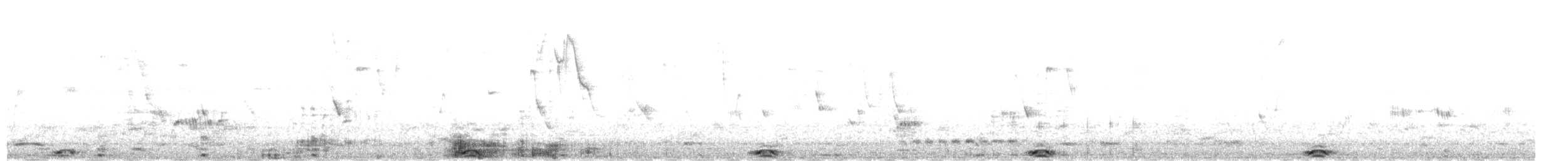 Stripe-backed Bittern - ML624952091
