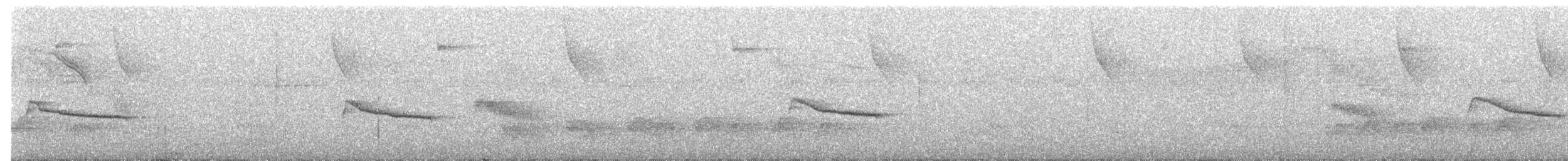 ムジヒメアリサザイ - ML624954214