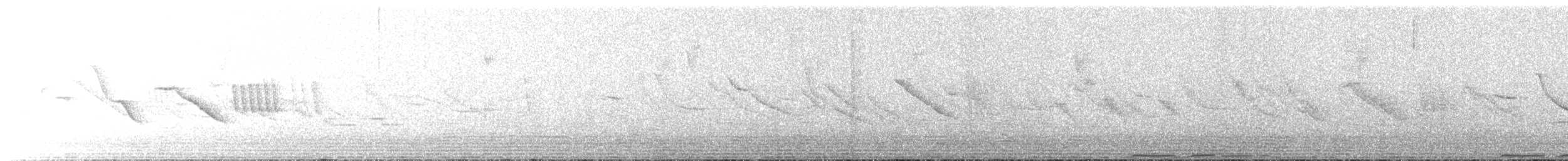 holoubek hnědoprsý - ML62497721