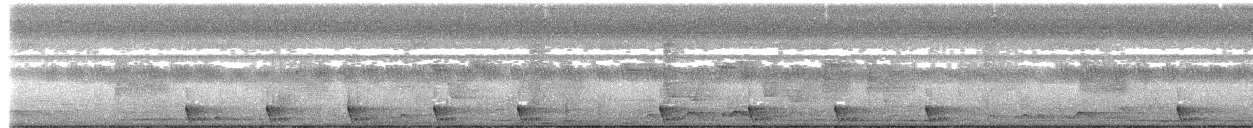 Large-tailed Nightjar - ML624979416