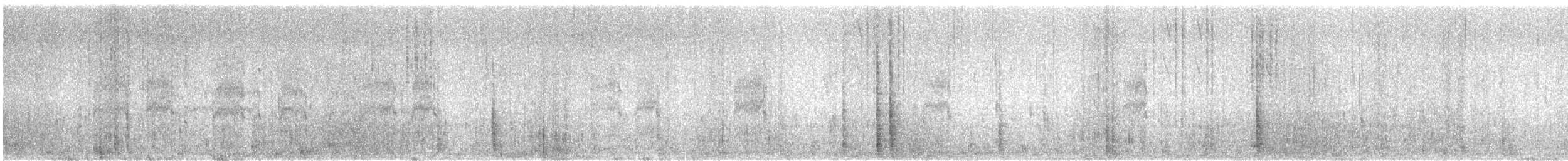 Forster's Tern - ML624979418