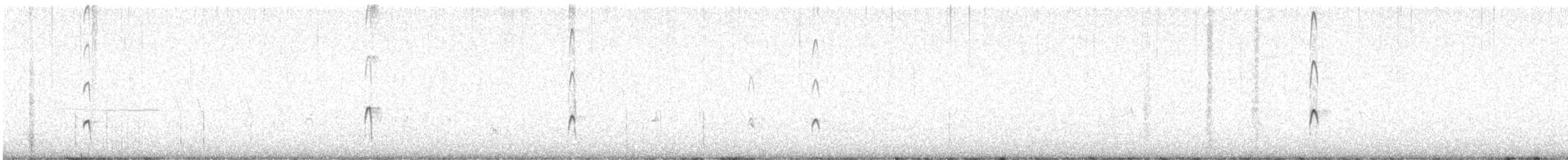 Long-billed Dowitcher - ML624980968