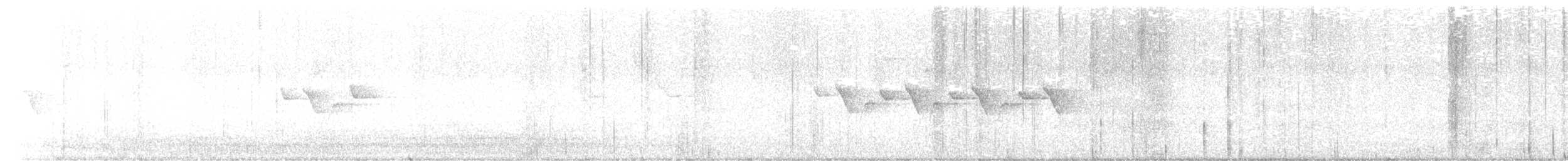 Coal Tit - ML624989303