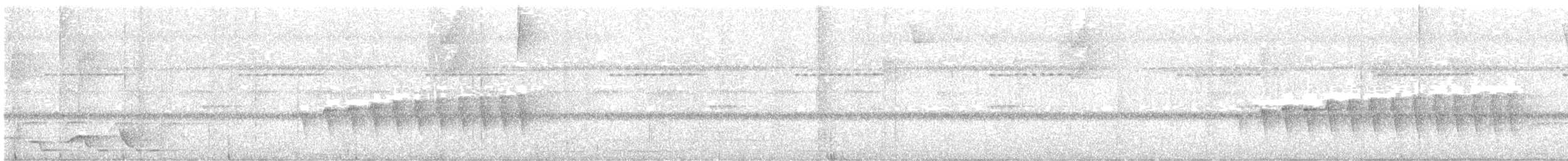 Pacific Antwren - ML624996132