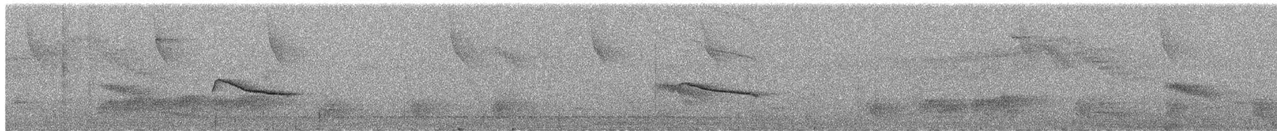 ムジヒメアリサザイ - ML624998487