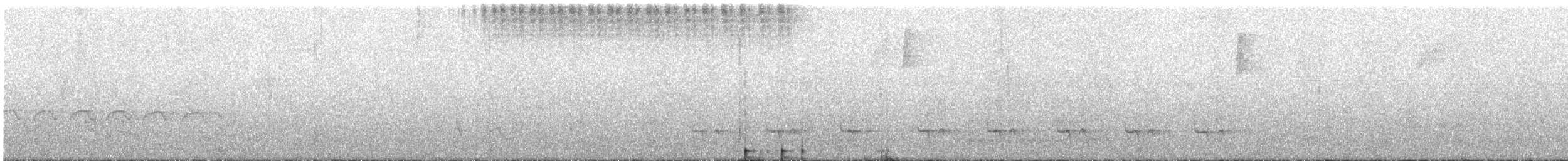 Stripe-chested Antwren - ML625006156