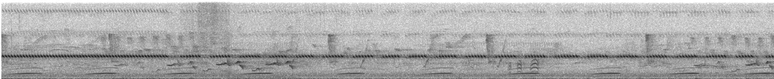 ムネアカシマクイナ - ML625010764