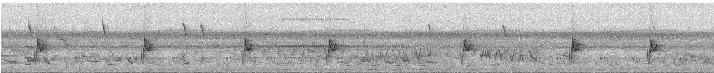 ウタイセッカ - ML625010857