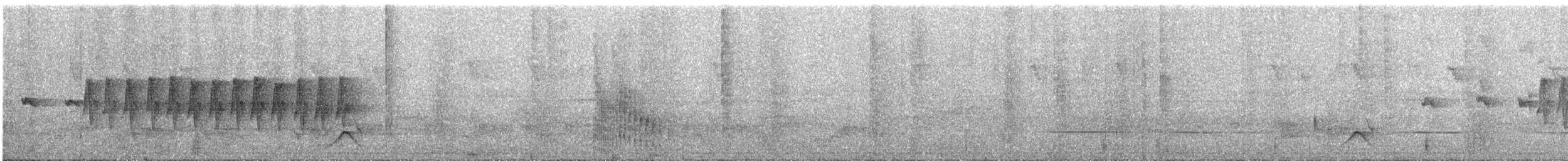 ヤブオウギセッカ - ML625011390